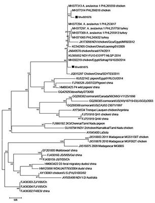 In vitro investigation of the antiviral activity of propolis and chitosan nanoparticles against the genotype VII Newcastle disease virus